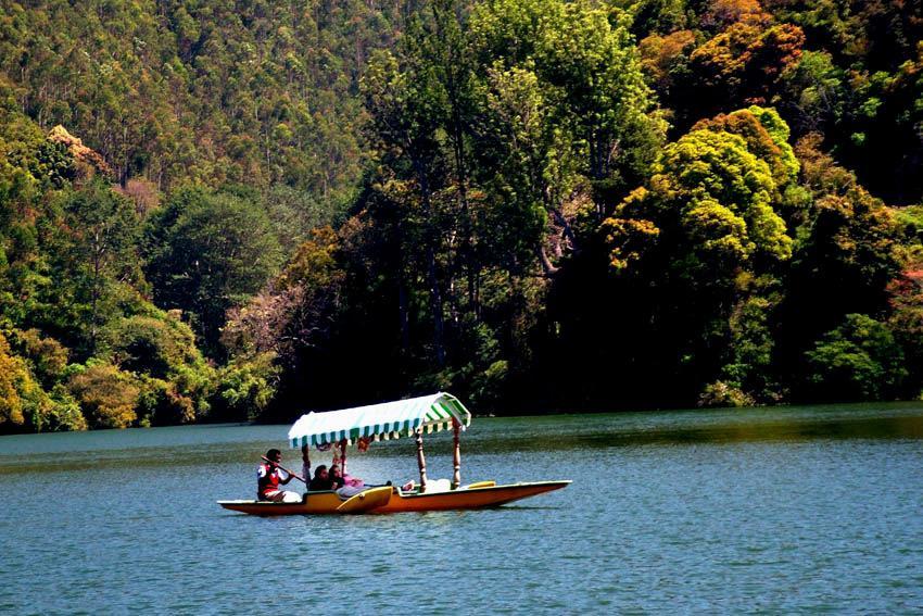 Munnar Dreams Hotel Kültér fotó